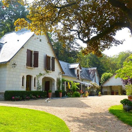 Domaine De Joreau Gennes-Val-de-Loire 외부 사진
