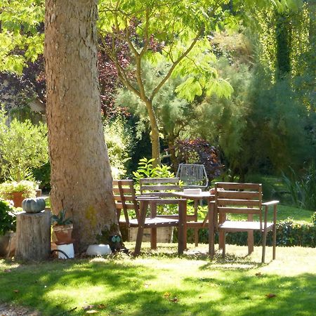 Domaine De Joreau Gennes-Val-de-Loire 외부 사진