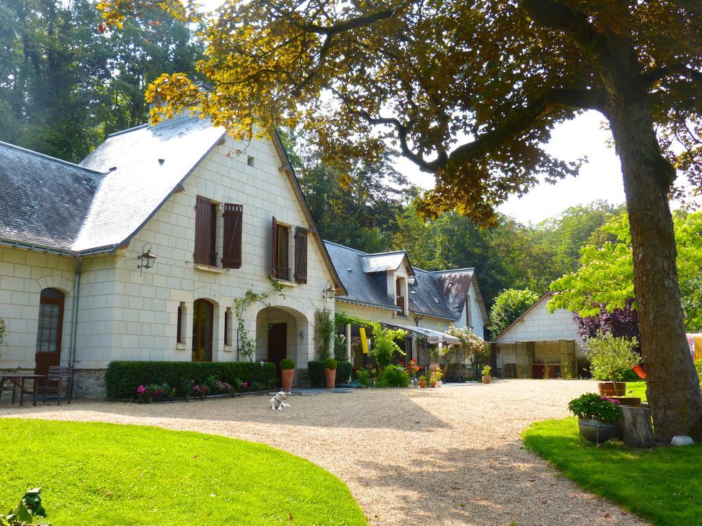 Domaine De Joreau Gennes-Val-de-Loire 외부 사진