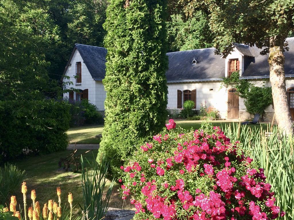 Domaine De Joreau Gennes-Val-de-Loire 외부 사진