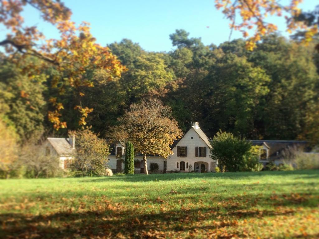 Domaine De Joreau Gennes-Val-de-Loire 외부 사진