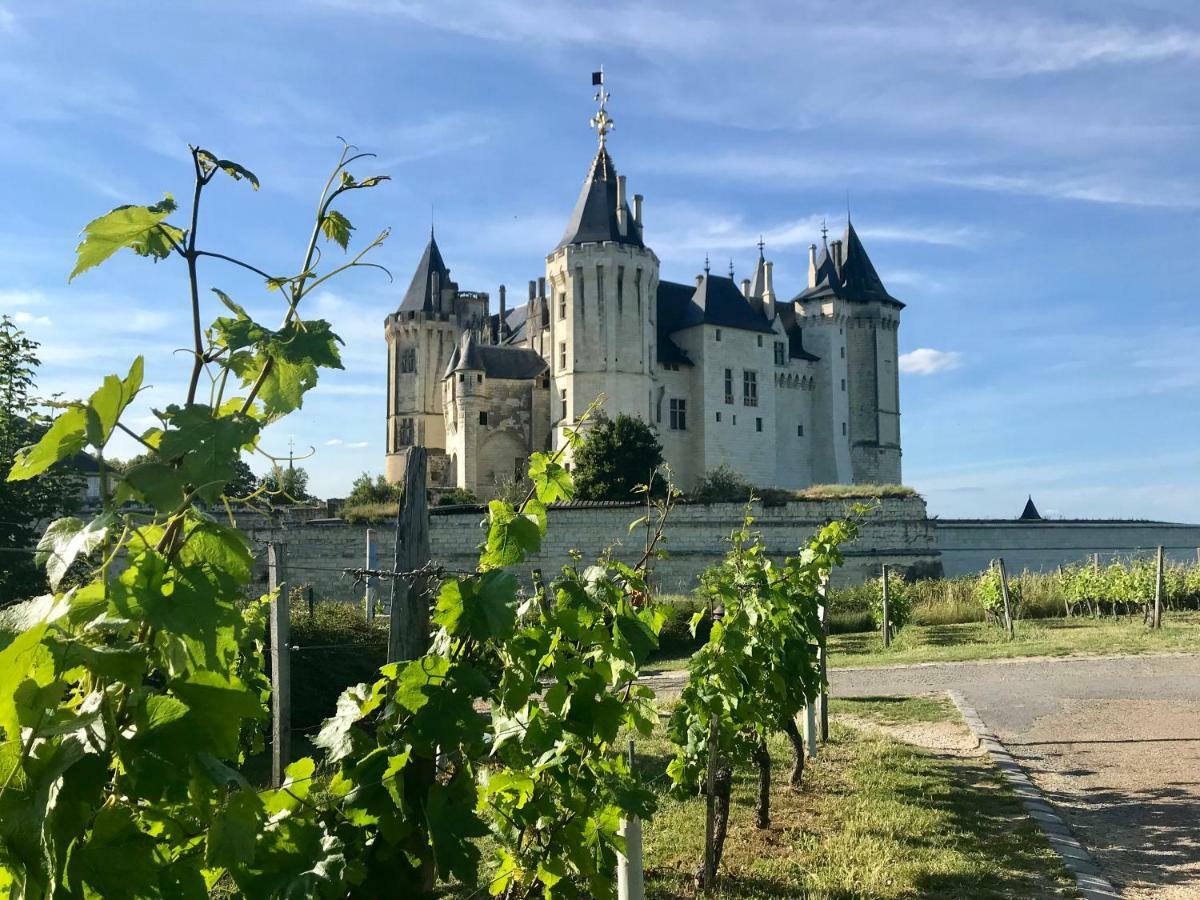 Domaine De Joreau Gennes-Val-de-Loire 외부 사진